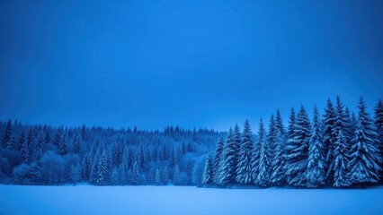 Snowy landscape with dark blue sky and distant trees, forest, snowflakes