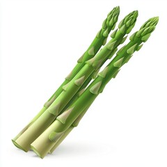 Fototapeta premium Asparagus isolated on white