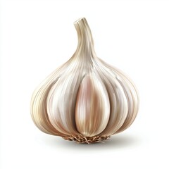 Garlic clove isolated on white