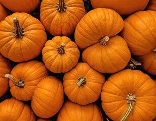 A vibrant collection of pumpkins in various sizes, showcasing their rich orange hues and unique...