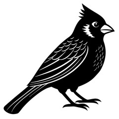 cardinal bird black silhouette vector, Simple silhouette Design vector icon with white background. Wild Animal Vector. Bird Vector 