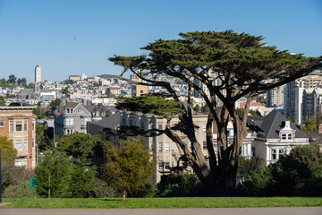 Fototapeta premium view of the old town, usa, san francisco.