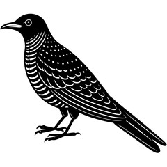 cuckoo bird black silhouette vector, Simple silhouette Design vector icon with white background. Wild Animal Vector. Bird Vector 