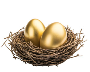 Obraz premium A golden egg in a nest, symbolizing financial security, investment, and savings.