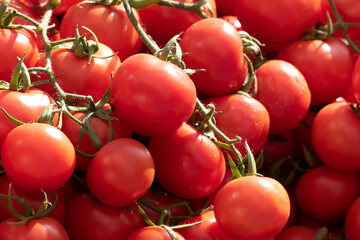 Red vine tomatoes bring flavor to winter kitchens, providing a burst of freshness and taste that enhances dishes during the colder months