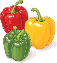 Capsicum illustration vector design, Capsicum in white background vector design