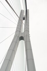 Fototapeta premium 下から見上げた橋