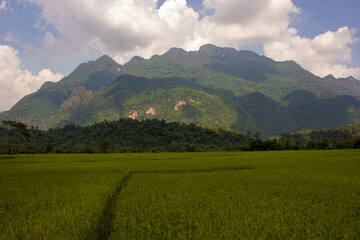 Obraz premium Rice paddies, limestone cliffs, and clouds in Vang Vieng, Laos