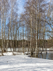 Snowy forest with trees and a body of water