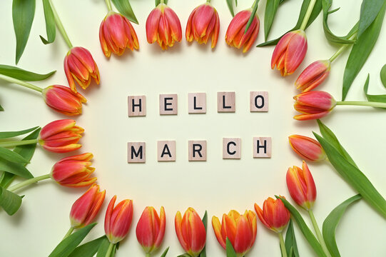 inscription hello march and fresh red yellow tulips around