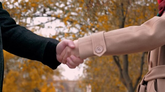 Polite handshake between man and woman at business meeting in autumn park. Joint business work and handshake between company employees. Handshake gesture in concluding agreement between man and woman