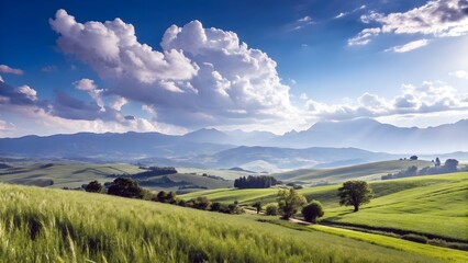 Obraz premium Green Field Bathed in Sunlight Beneath a Cloudy Sky