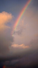 The sighting of a rainbow never fails to bring a smile to people's faces