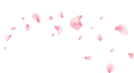 Sakura petal background. Spring blossom banner. 8 March card. Pink rose composition. Flower flying design. Beauty Spa product frame. Valentine romantic border. Women Day. Vector illustration