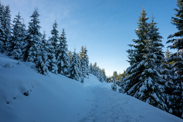 Wanderweg durch die Winterlandschaft