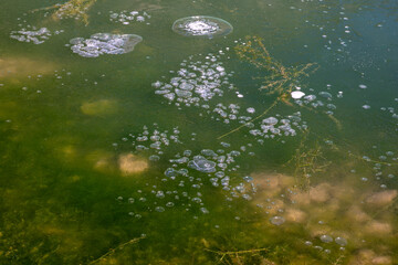Gefrorene Luftblasen in einem Tiroler See