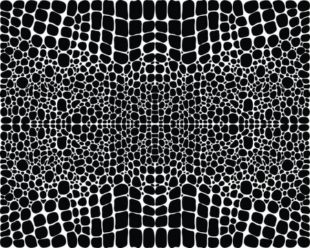 Seamless pattern of alligator skin on a white background