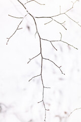 Fairy winter in the city