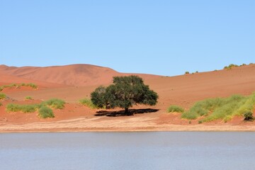 Wasser im Sossusvlei