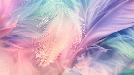 Dreamy pastel feathers in pink, purple, and blue tones with a blurred background, creating a soft and elegant aesthetic. Ideal for wallpapers, decor, or artistic design.