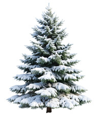 Fototapeta premium christmas tree isolated on white