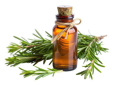 essential oil with rosemary