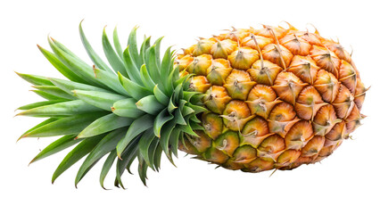 Fototapeta premium pineapple on white background