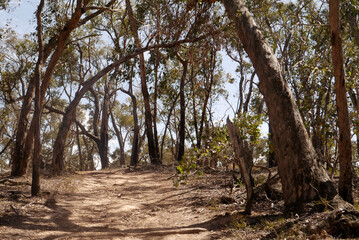 Glenlyon Walkabout, Australia 2016