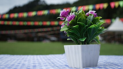 Planta con flores en maceta