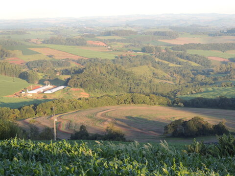 Beautiful field - Jandaia do Sul - Paran&aacute; - Brazil