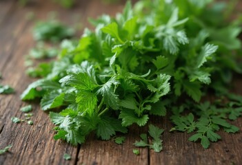 Obraz premium A close-up photograph of a bunch of fresh green herbs, possibly parsley or cilantro, on a wooden table.