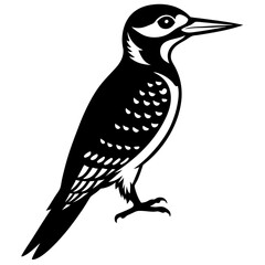 woodpecker bird black silhouette vector, Simple silhouette Design vector icon with white background. Wild Animal Vector. Bird Vector 