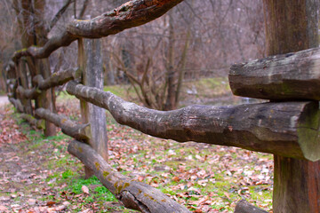 Fototapeta premium Old wooden fence in the forest