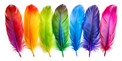colorful feathers isolated on white background