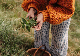 woman foraging nettle