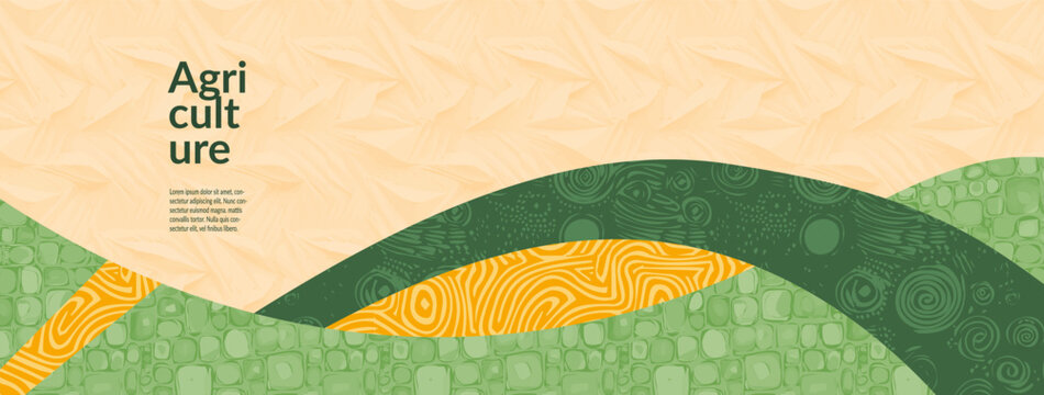 Rural farm with field of wheat barley rice maize and rye a top view vector illustration. Organic texture of crops. Abstract farmland design, village backdrop, summer yield of cereal grain, malt, paddy