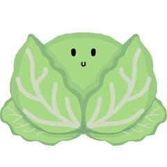 Cute cabbage 