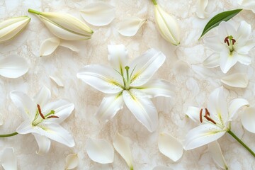 Fresh bouquet of white flowers arranged on a table