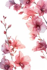 A wedding card design featuring soft watercolor Cattleya flowers in pink hues, framing a horizontal space