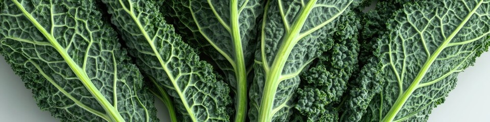 A detailed view of multiple green leaves together