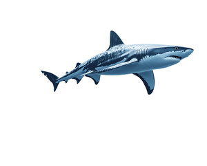 Fototapeta premium Shark swimming towards a school of fish in the ocean,