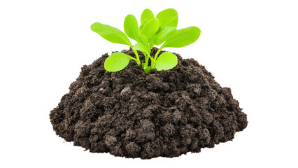 Naklejka premium Organic fertilizer bag with vibrant branding garden setting product photography close-up view, isolated on white or transparent background