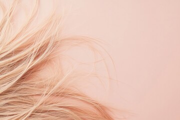 Fototapeta premium Frayed hair tips and split ends on a soft pink background with ample space for personalized text or notes. Generative AI