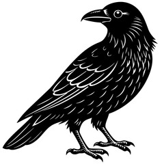 Crow Bird Vector Illustration – Cartoon, Clipart & Line Art Design on White Background, Crow bird vector clipart in cartoon, line art, and illustration style on a white background.