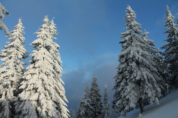 winter in carpathians mountains, sunset landscape