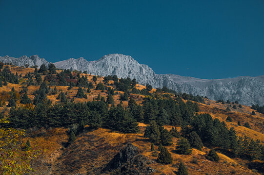 A colorful mountain autumn landscape on a sunny day with a deep blue sky.