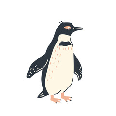 Funny illustration of a standing penguin, flat vector illustration on a white background