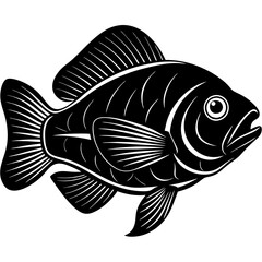Oscar Fish Vector Illustration – Cartoon, Clipart & Line Art Design on White Background, Oscar fish vector clipart in cartoon, line art, and illustration style on a white background.