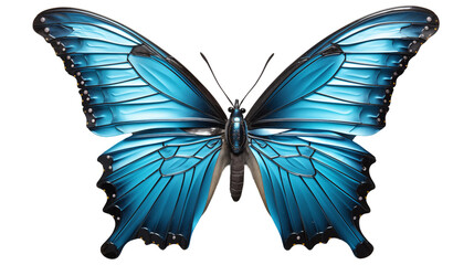 Fototapeta premium Blue Morpho Butterfly Wings Vibrant Design, Detailed Nature Art for Themes, isolated on transparent background.