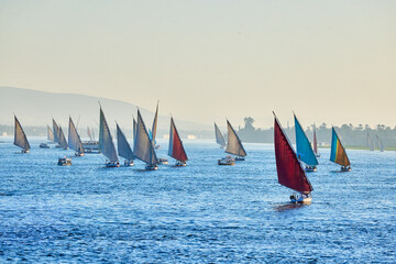 Fototapeta premium sailing on the nile river